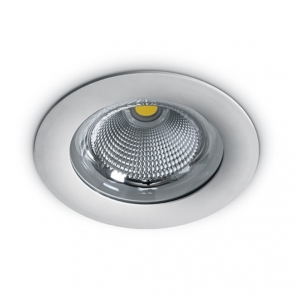10130G Spot incastrat fix 30W, IP65